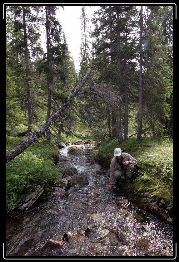 Nästa bild