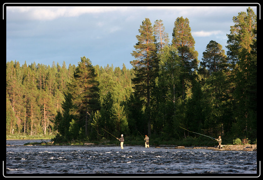 Nästa bild