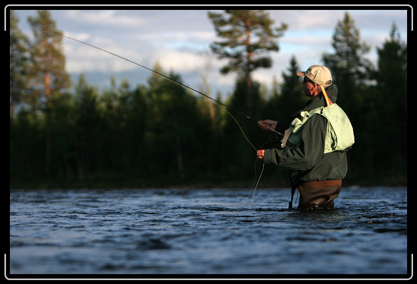 Nästa bild