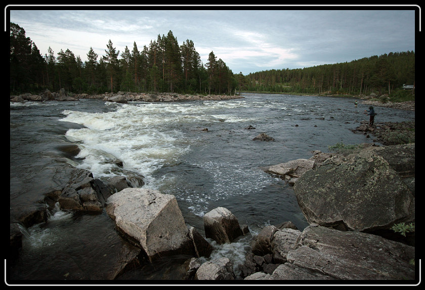 Nästa bild