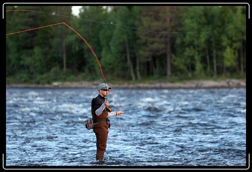 Nästa bild