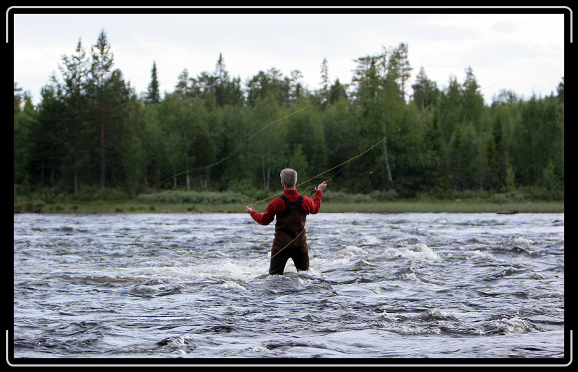 Nästa bild