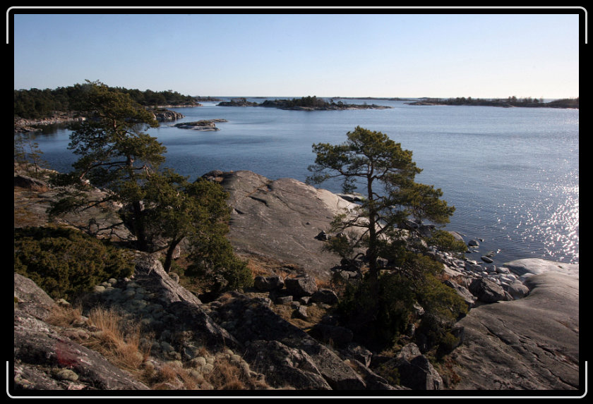 Nästa bild