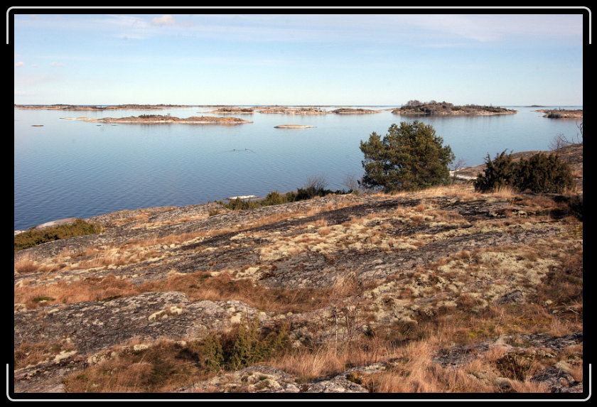 Nästa bild