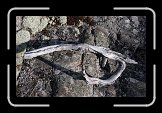 ap_IMG_0300 * 3030 x 1912 * (1.68MB)