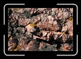 aq_IMG_0301 * 3042 x 2029 * (1.45MB)