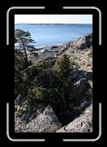 bt_IMG_0350 * 2336 x 3504 * (1.34MB)