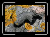 bzc_IMG_0416 * 3192 x 2116 * (1.61MB)