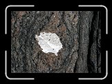 cb_IMG_0369 * 3027 x 2110 * (1.26MB)