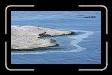 ccb_IMG_0396 * 2277 x 1359 * (593KB)