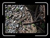 cx_IMG_0415 * 3174 x 2259 * (1.61MB)