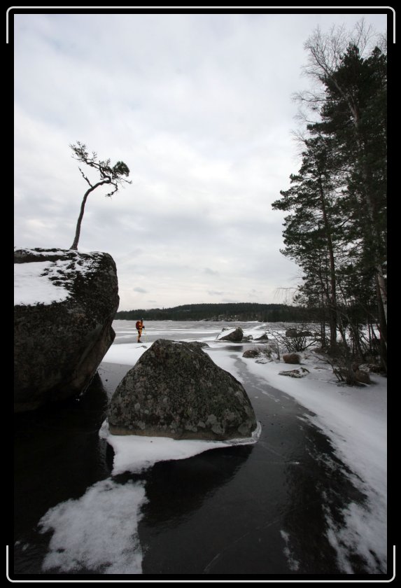 Nästa bild