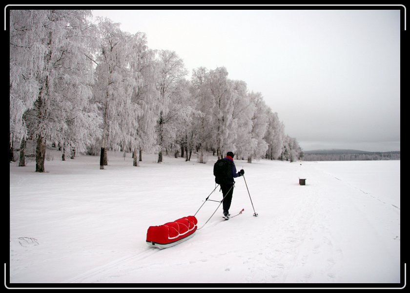 Nästa bild