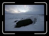 bu_IMG_8587 * Ja under första natten blåste det upp igen, såklart. 23 m/s ... bara att bygga en så kraftig vindbarriär man orkade under några vindpinade nattimmar. * 3504 x 2336 * (517KB)