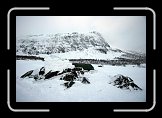 cc_IMG_8594 * Med lagad skida & idel hårda vindar satsade vi på ett basläger med dagsturer några dagar. En sväng in i Sarek fick nu helt strykas ur planerna. * 3504 x 2336 * (984KB)