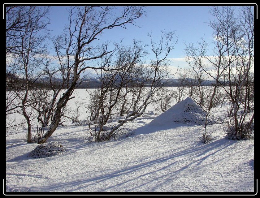 Nästa bild