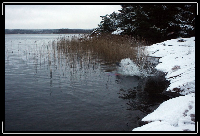 Nästa bild