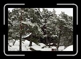IMG_3204 * 3888 x 2592 * (2.9MB)