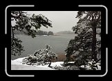 IMG_3207 * 3888 x 2592 * (2.14MB)