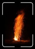 IMG_3459 * 2592 x 3888 * (1.36MB)