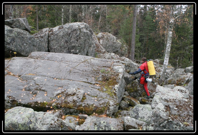 Nästa bild