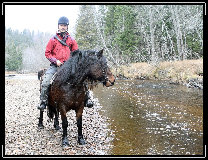 Nästa bild