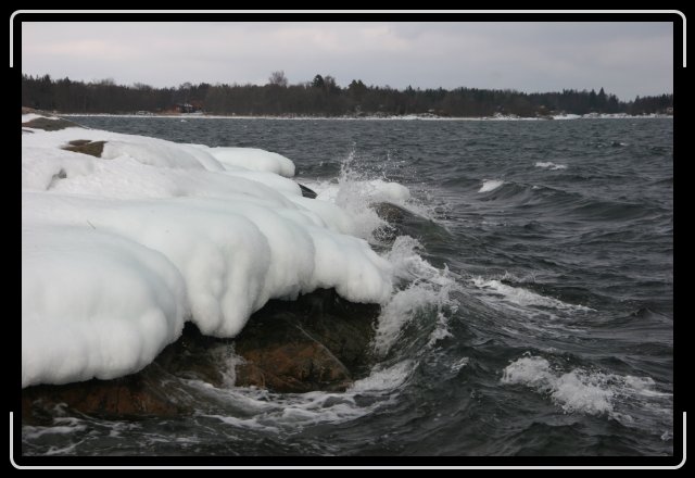 Nästa bild