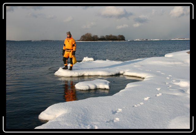 Nästa bild