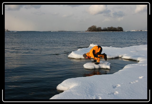 Nästa bild