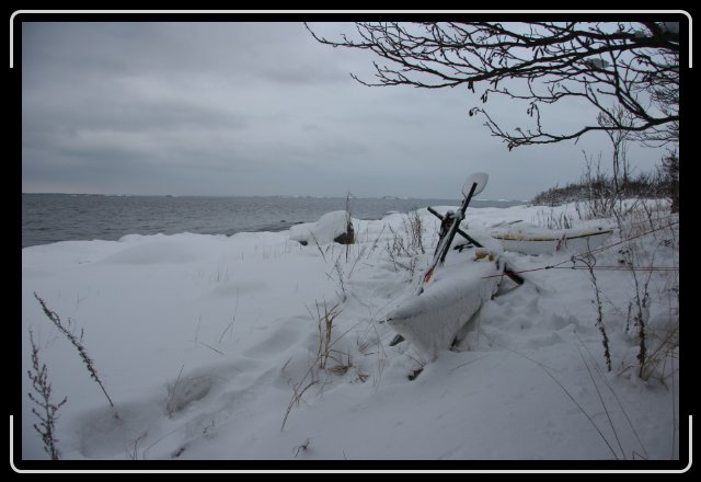 Nästa bild