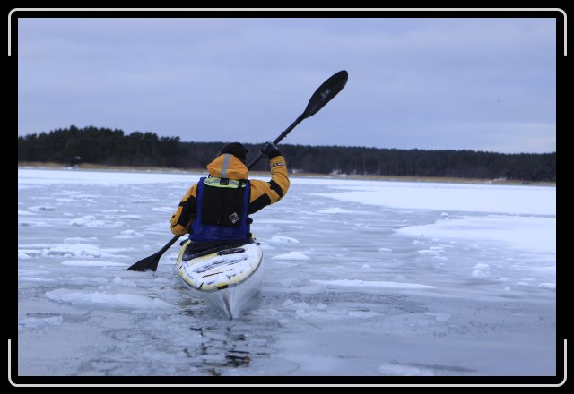 Nästa bild