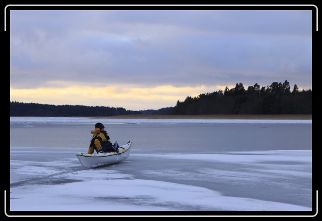 Nästa bild